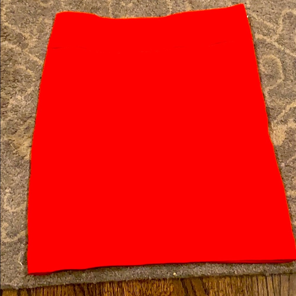 BR Knee Skirt